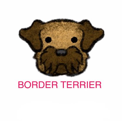 Picture of E&A - Border Terrier Facecloth
