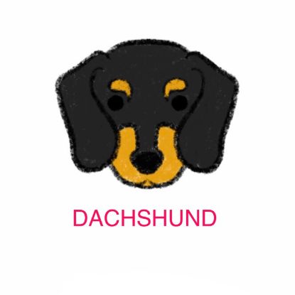 Picture of E&A - Dachshund Facecloth