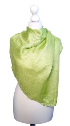 Picture of Believe - Ginkgo Scarf