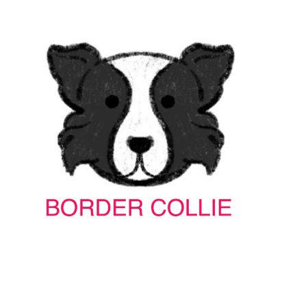 Picture of E&A - Border Collie Facecloth