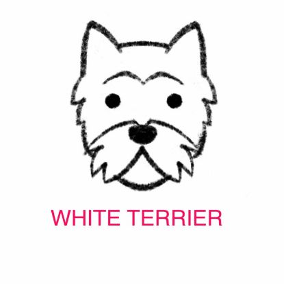 Picture of E&A - White Terrier Facecloth