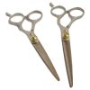 Picture of Serenade - Hairdressing Scissors