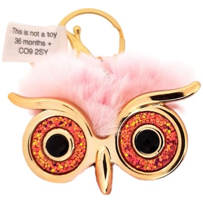 Picture of Owl Keyring