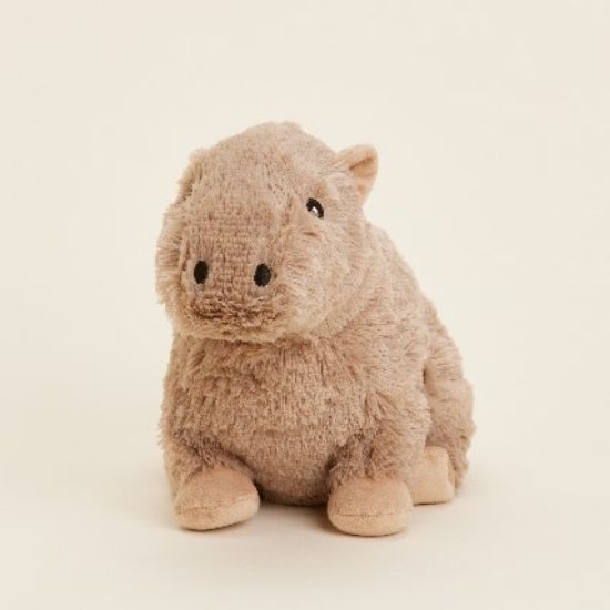 Picture of Warmies Plush Capybara