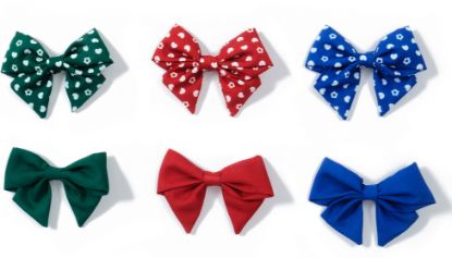 Picture of School Colours 2pk Bow Clips