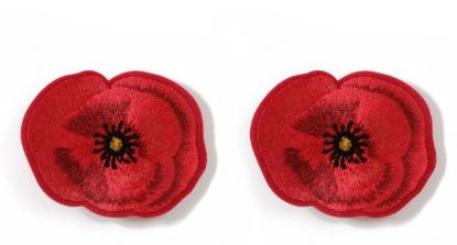Picture of Shimmers - 2pk Poppy Slides