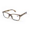 Picture of 80462 Serelo Readers Salerno 1.5