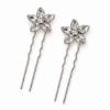 Picture of Shimmers - Flower Hair Pins